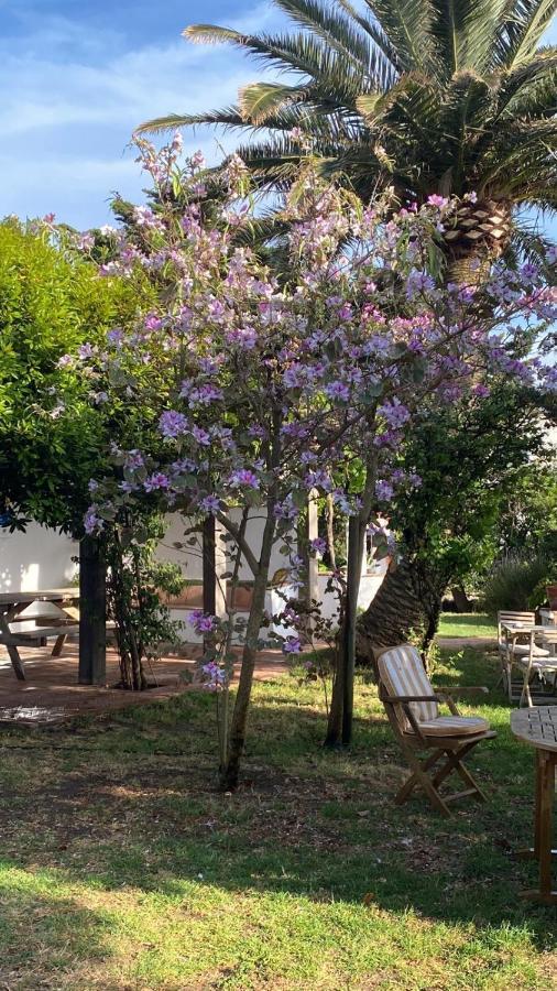 Banti Garden Otel Tarifa Dış mekan fotoğraf